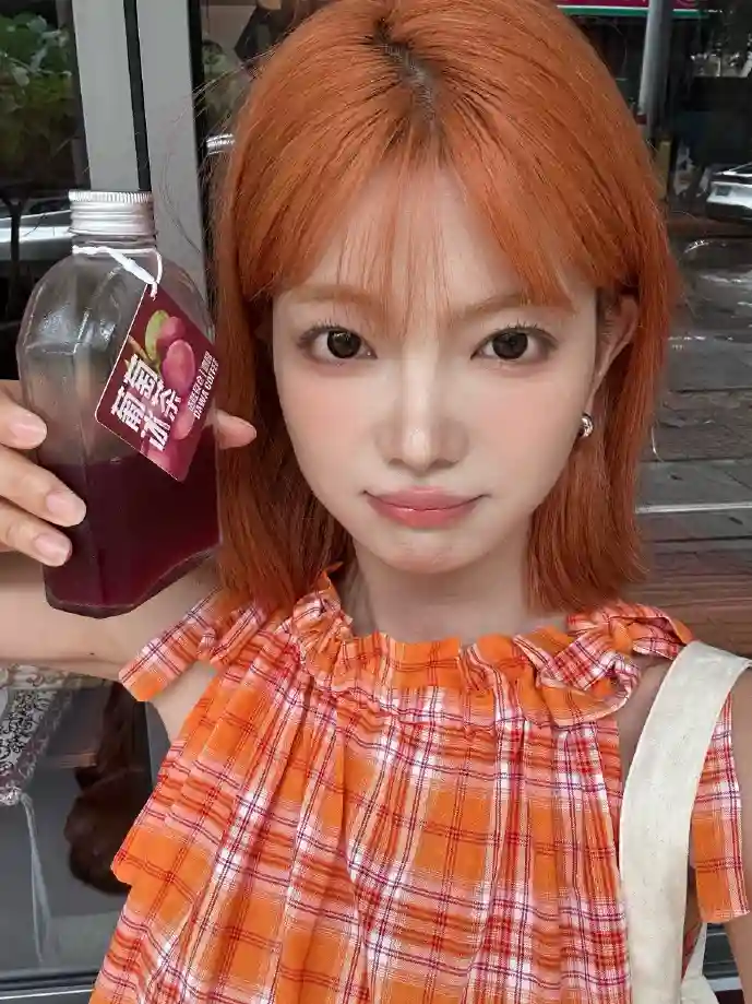 工商e联操作界面示意